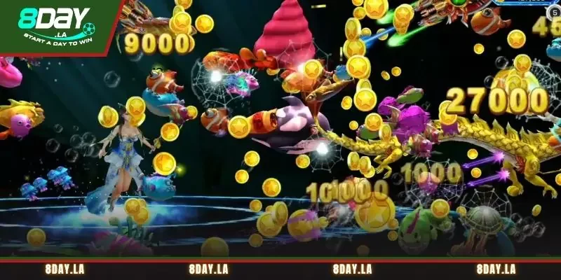Sử dụng những bí kíp săn cá Bingo hiệu quả Sử dụng những bí kíp săn cá Bingo hiệu quả